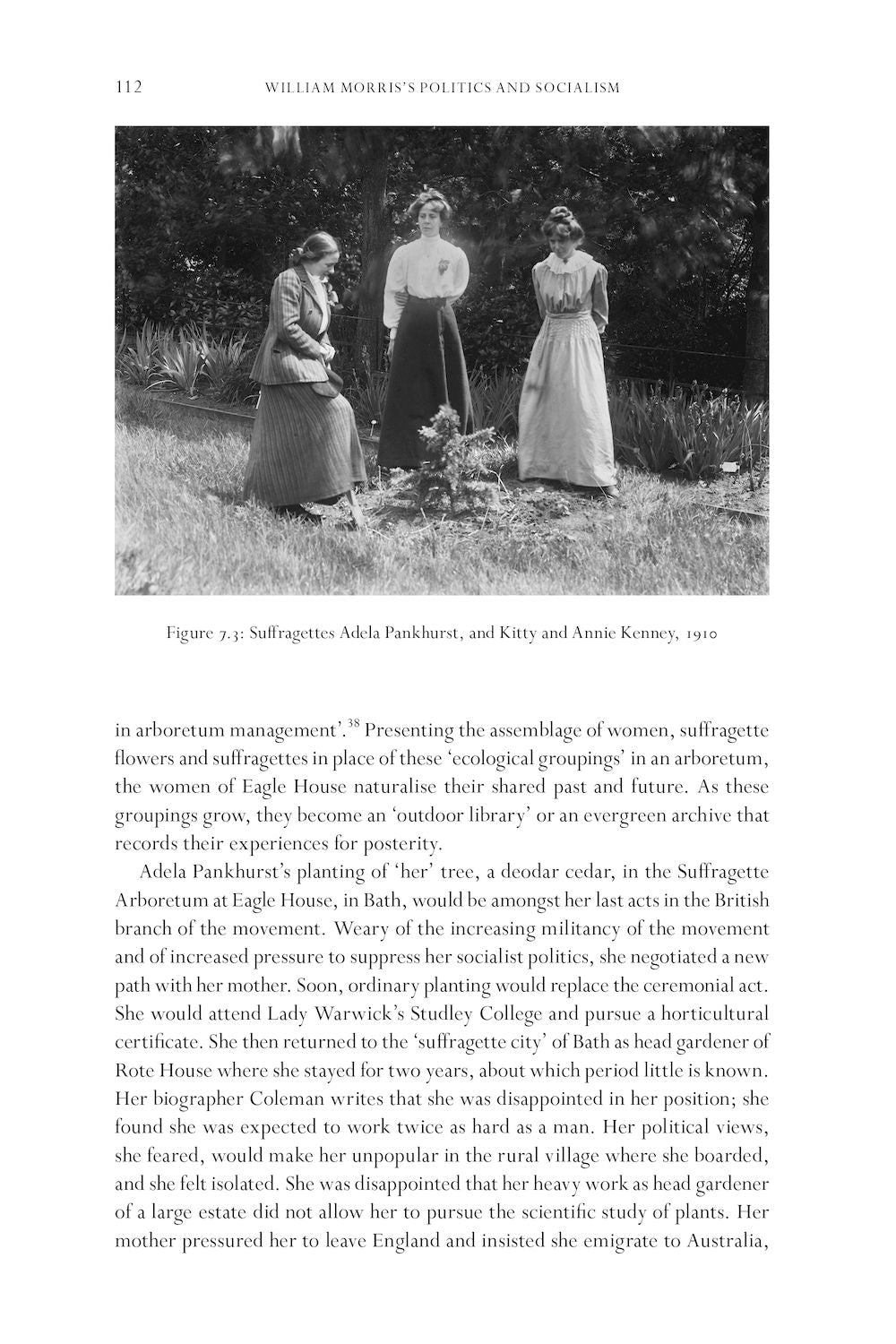 William Morris’s Socialism and Politics