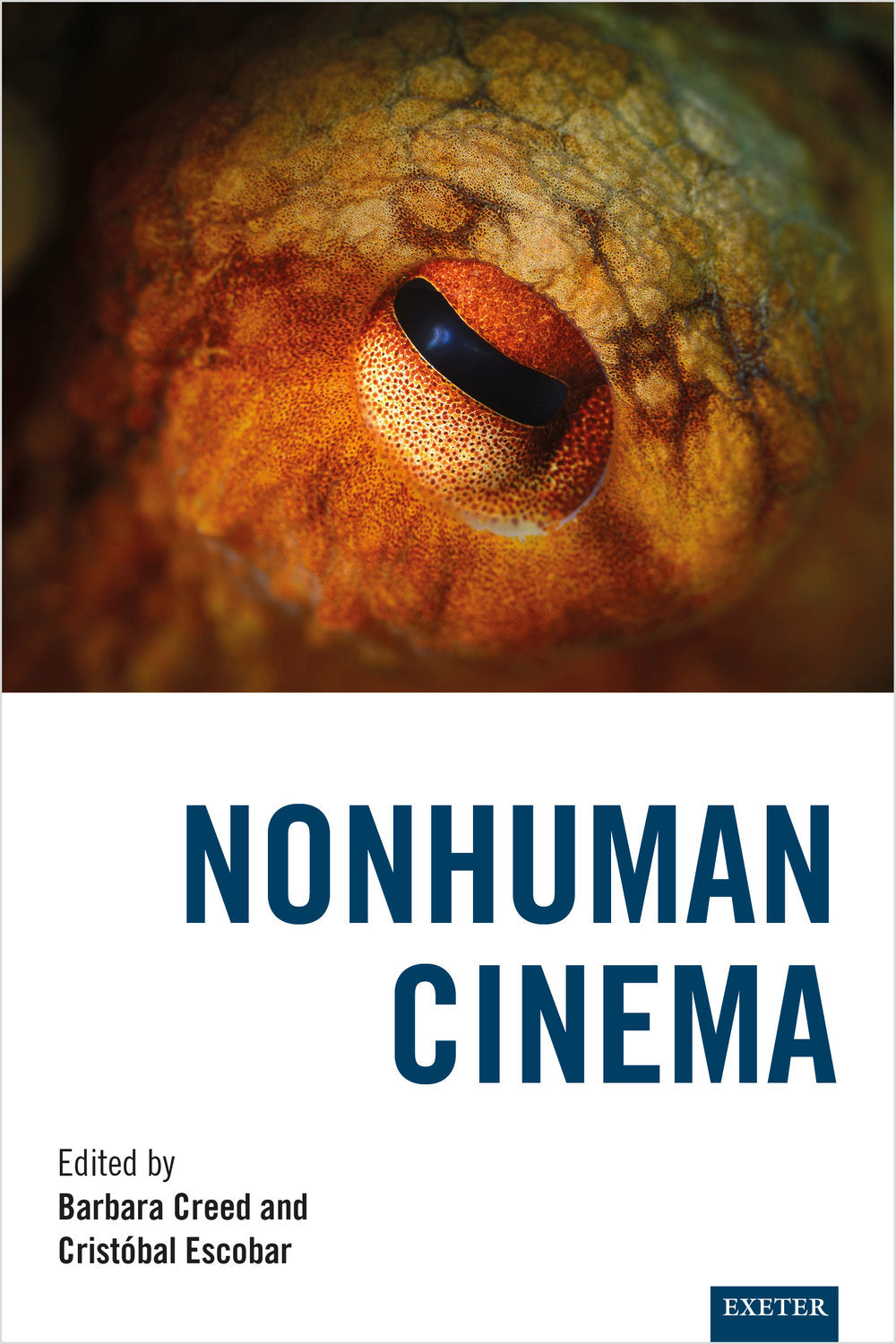 Nonhuman Cinema