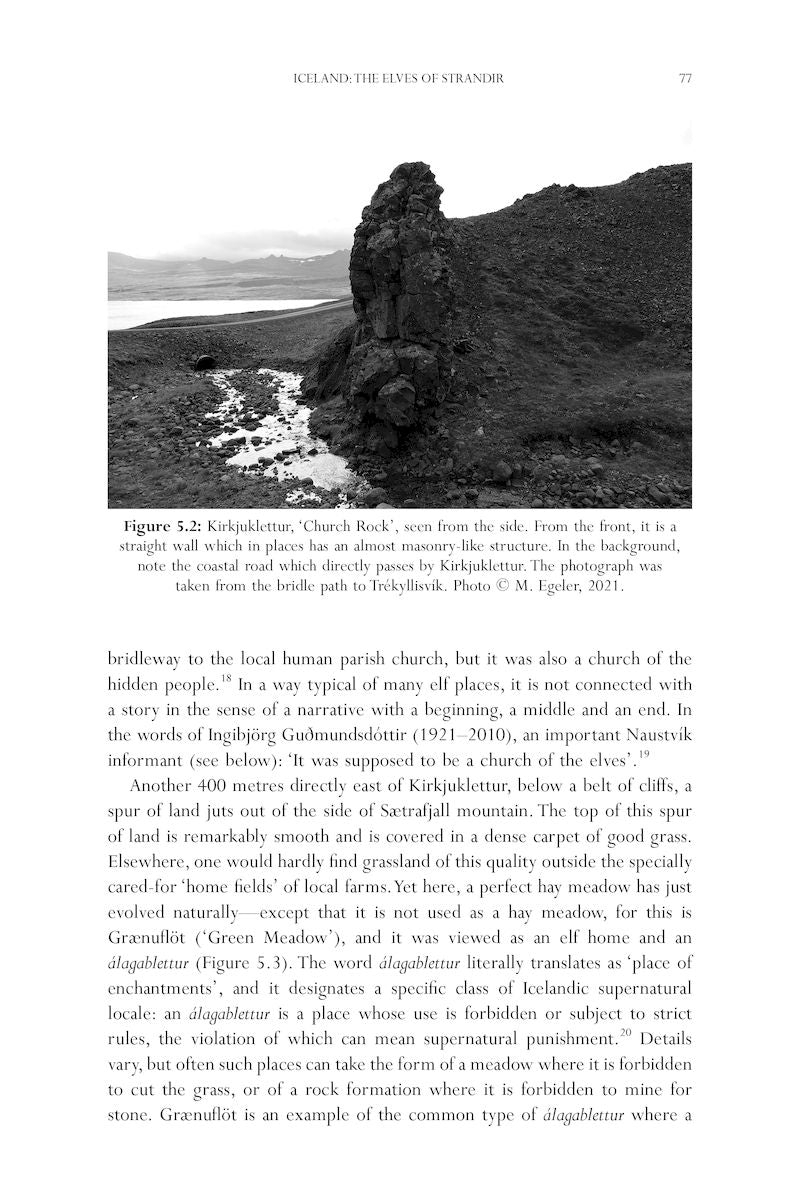 The Exeter Companion to Fairies, Nereids, Trolls and other Social Supernatural Beings