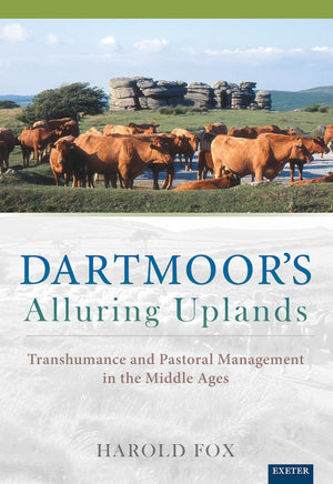 Dartmoor's Alluring Uplands