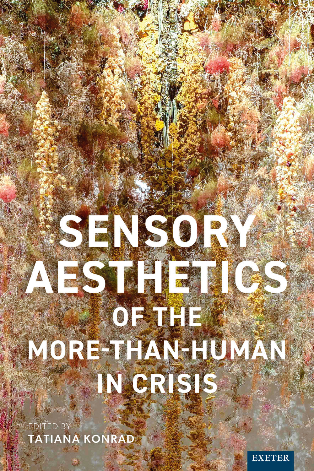 Sensory Aesthetics of the More-than-Human in Crisis