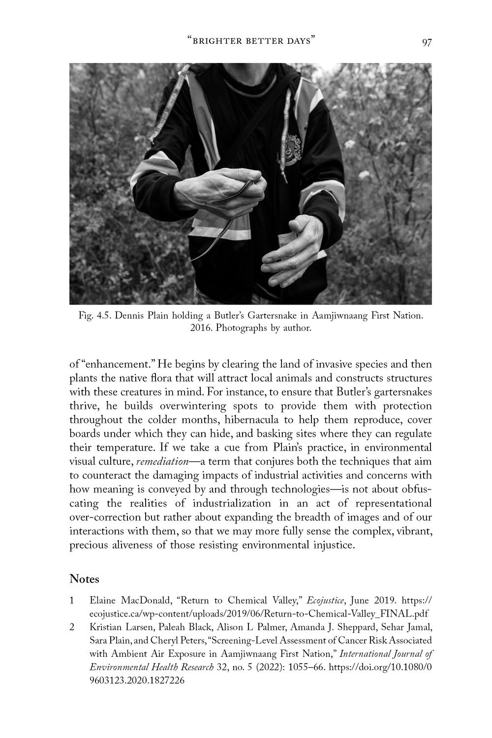 Sensing and Resisting Environmental Crises Through Visual Culture