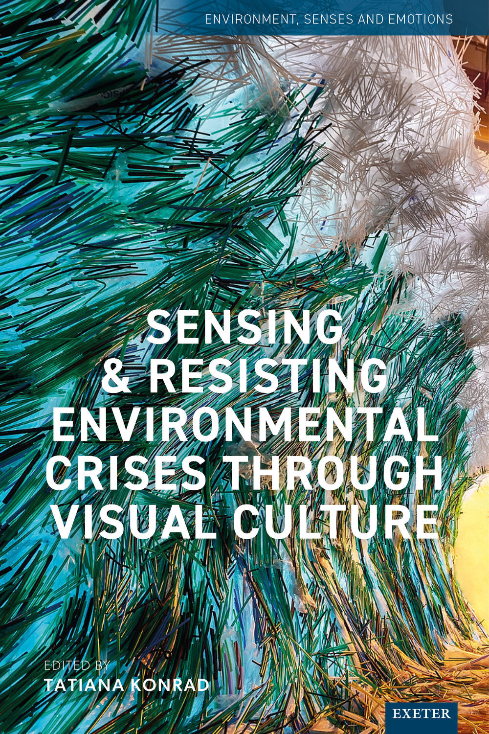 Sensing and Resisting Environmental Crises Through Visual Culture
