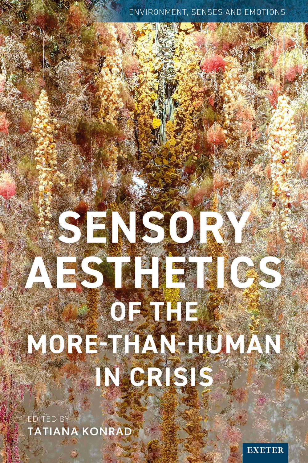 Sensory Aesthetics of the More-than-Human in Crisis