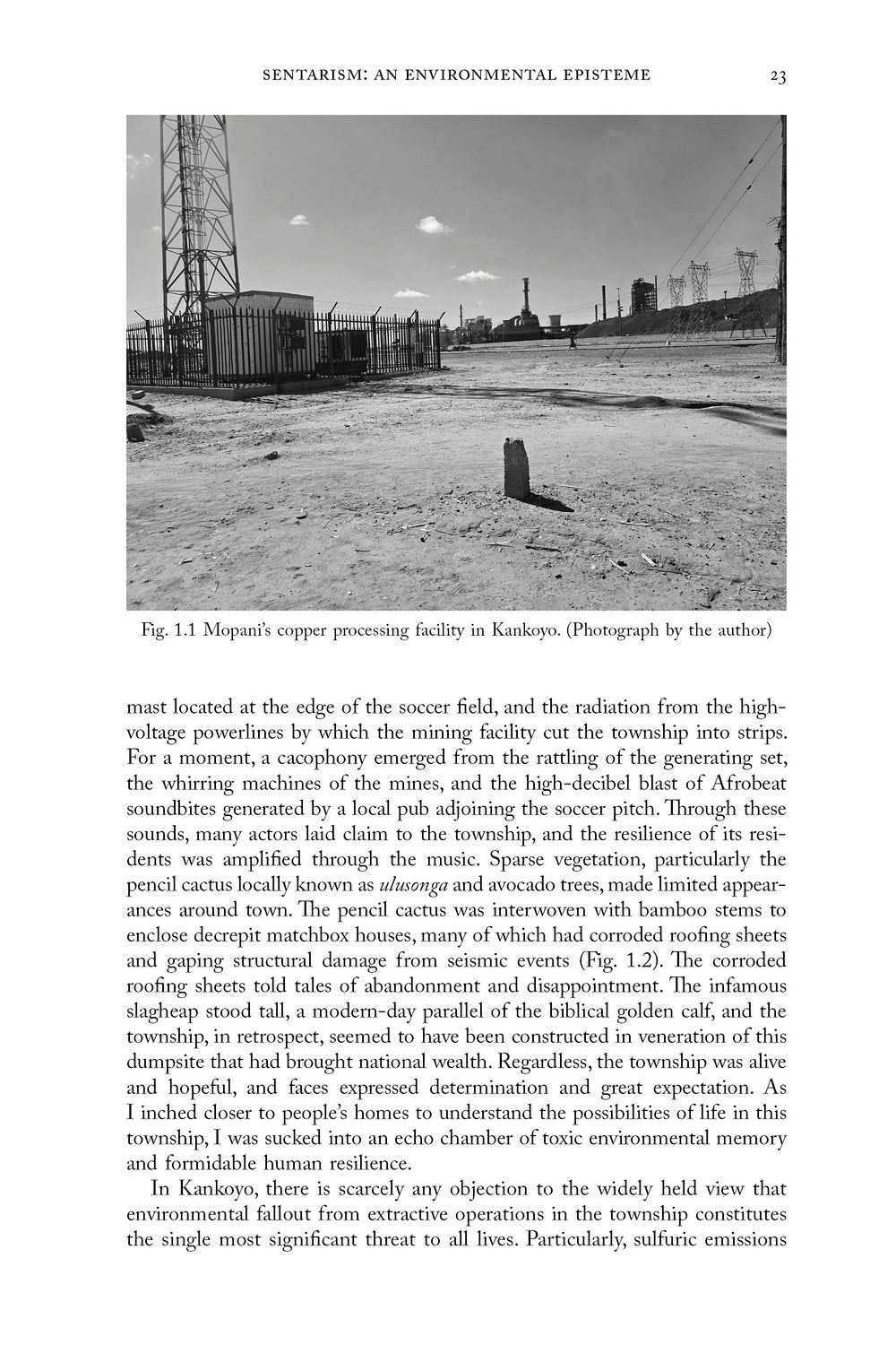 Sensing and Resisting Environmental Crises Through Visual Culture