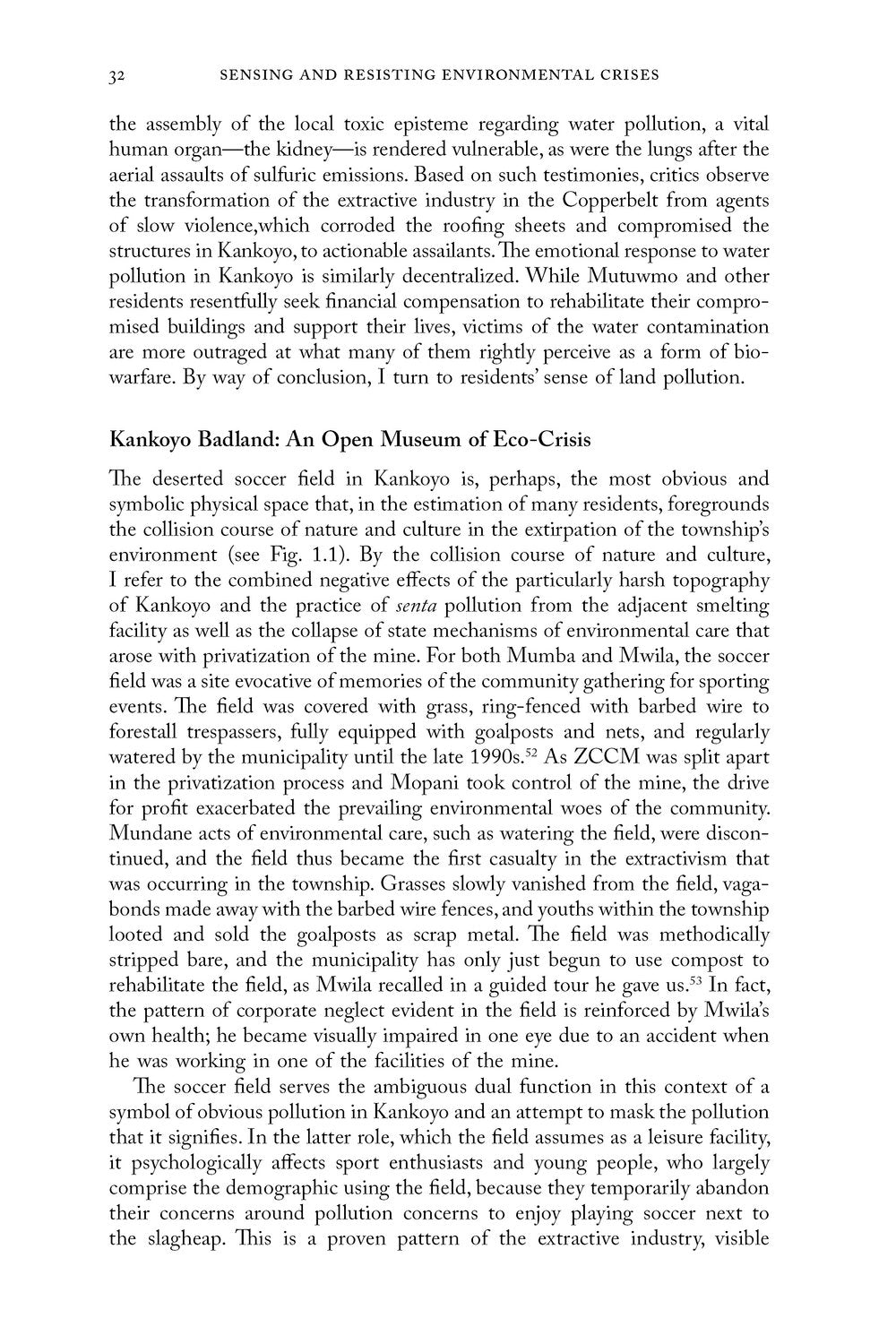 Sensing and Resisting Environmental Crises Through Visual Culture