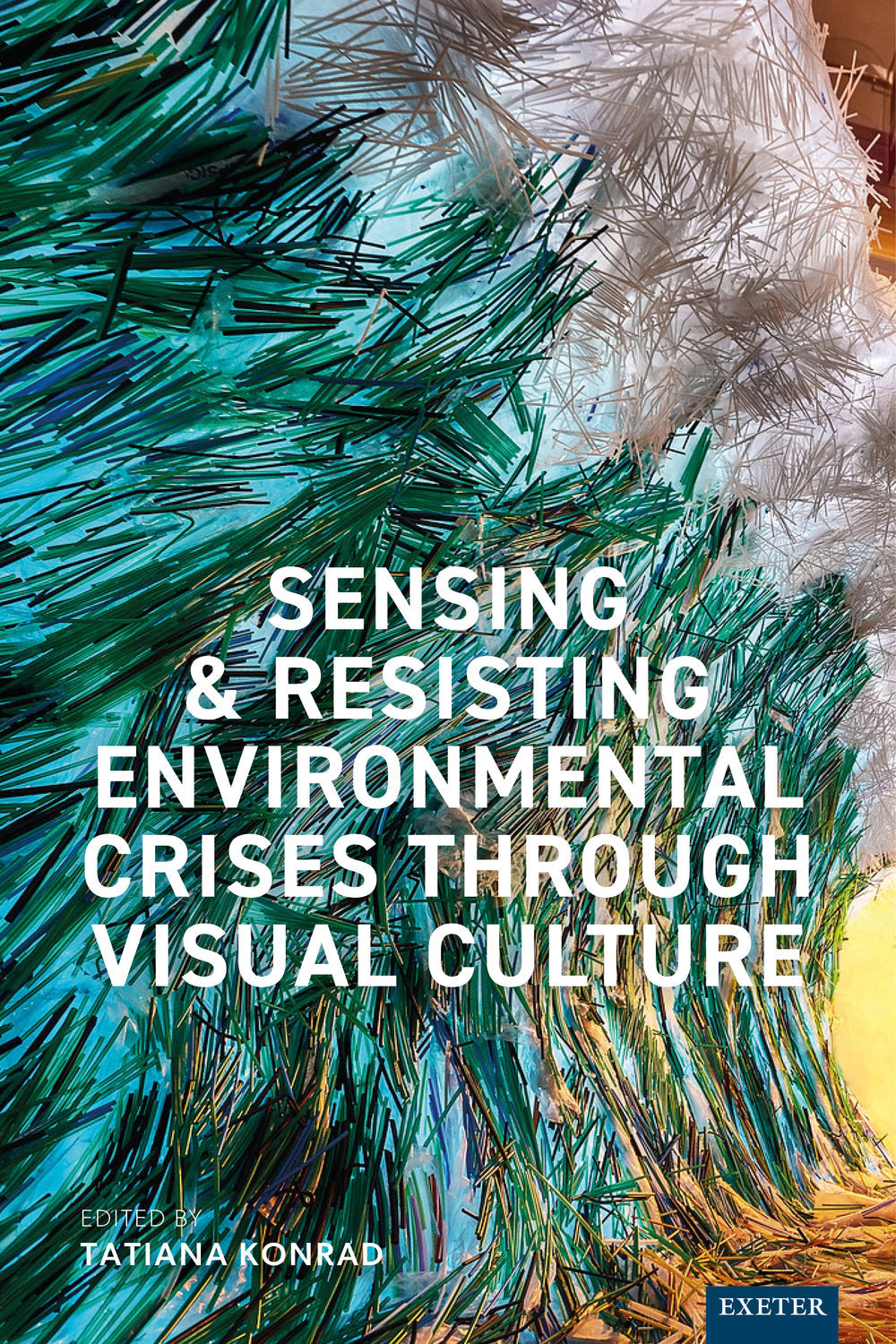 Sensing and Resisting Environmental Crises Through Visual Culture